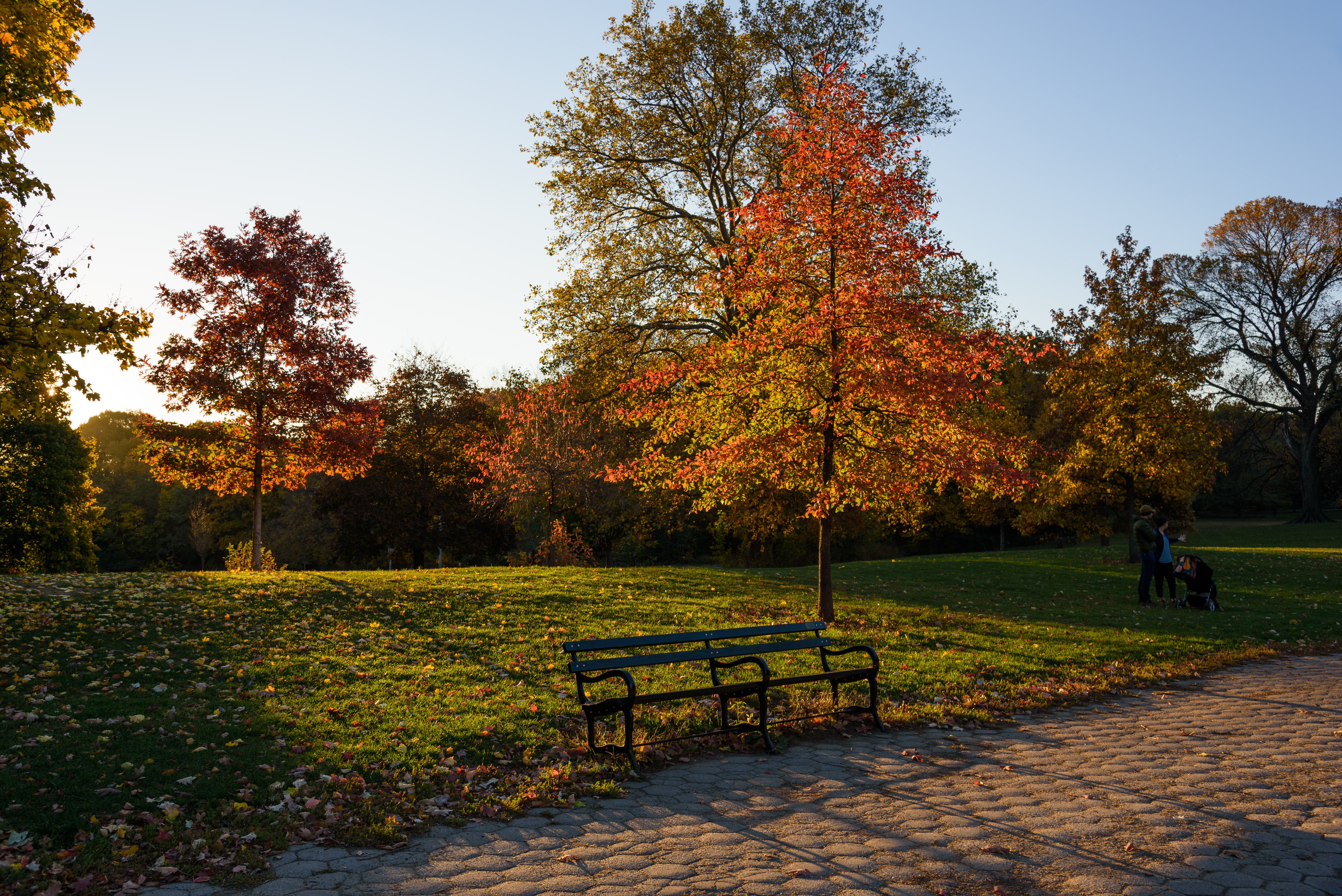 Prospect_Park_New_York_November_2016_002